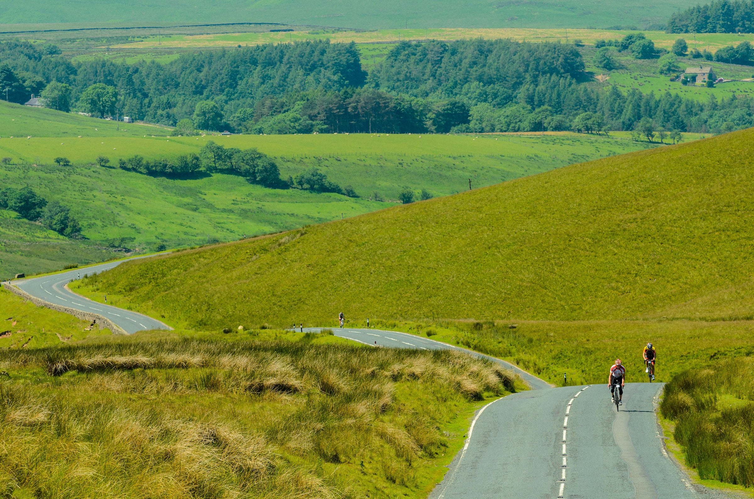 Cyclists riding on a dirt trail