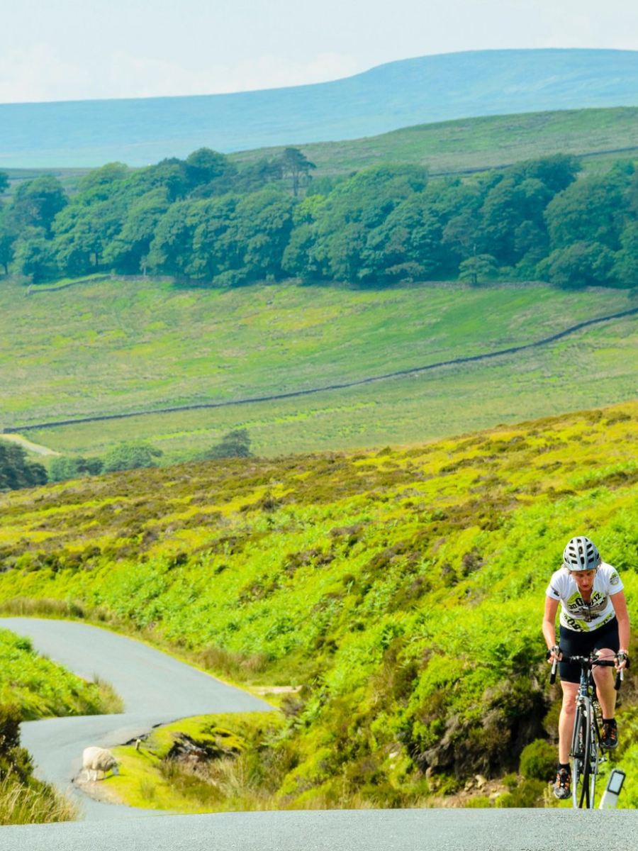 Trough of Bowland
