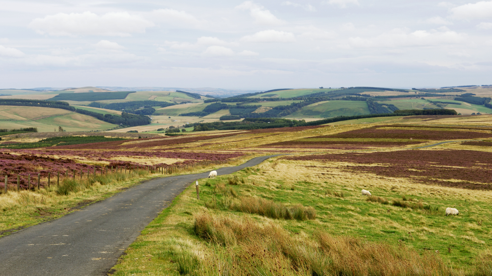 Scottish Borders